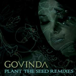 Plant The Seed Remixes cover