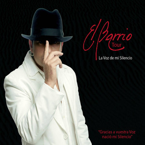 La Voz de Mi Silencio (Tour 08) album