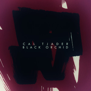 Black Orchid album