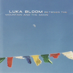 Between the Mountain and the Moon cover