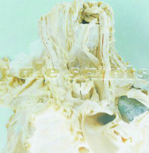 In Ribbons cover