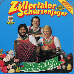 Ein kleiner Blumenstrauß cover