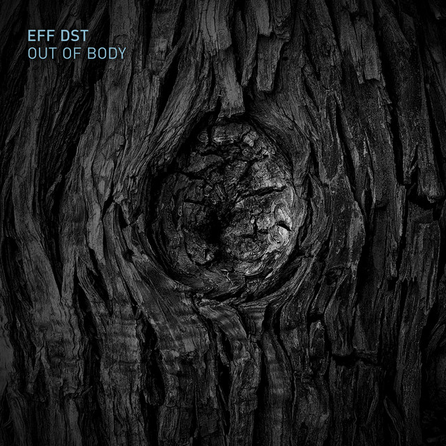 EFF DST Photo