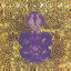 Amanita cover