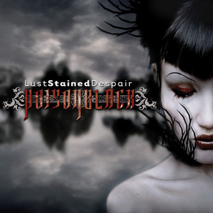 Lust Stained Despair cover