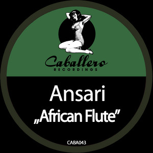 Ansari