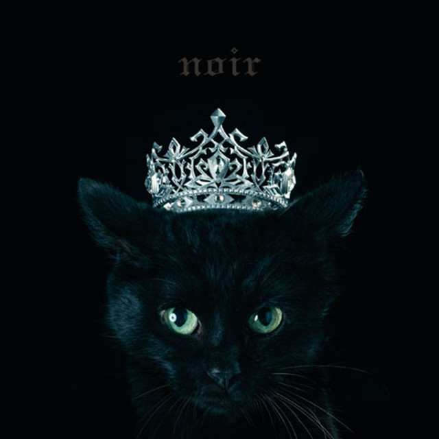 Best Selection Noir cover