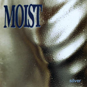 Silver cover