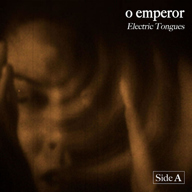 Electric Tongues & Erman Gou cover