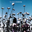 Boomerang cover