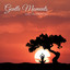 Gentle Moments (Instrumental) cover