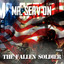 The Fallen Soldier cover