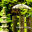 Rebirth of Zen - Single Albumcover