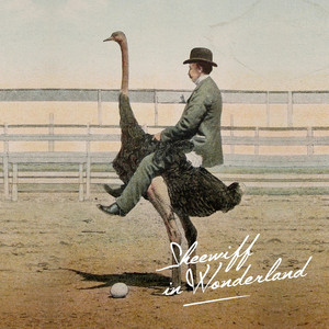 Skeewiff In Wonderland cover