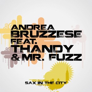 Andrea Bruzzese