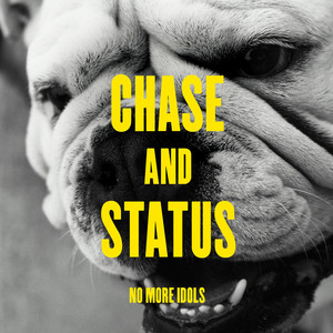 No More Idols (Platinum Edition) album