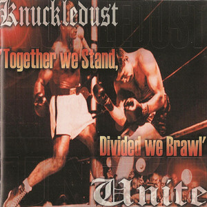 Together We Stand. Divided We Brawl cover