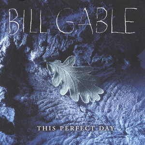 This Perfect Day Albumcover