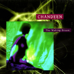 The Waking Dream cover