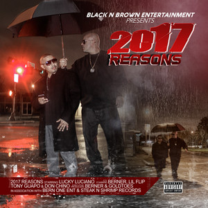 2017 Reasons album