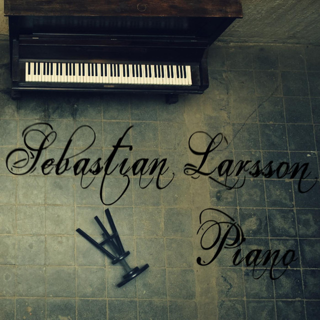 Sebastian Larsson Photo