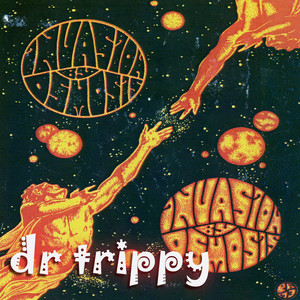 Dr Trippy Meets The Mad Professor cover