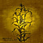 The Laughing Stalk cover