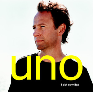 I det osynliga album