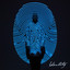 Identity cover