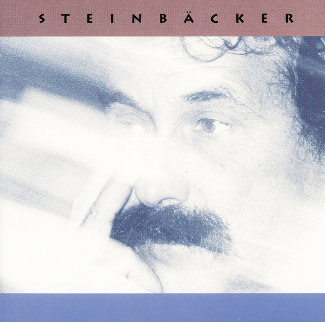 Steinbacker cover