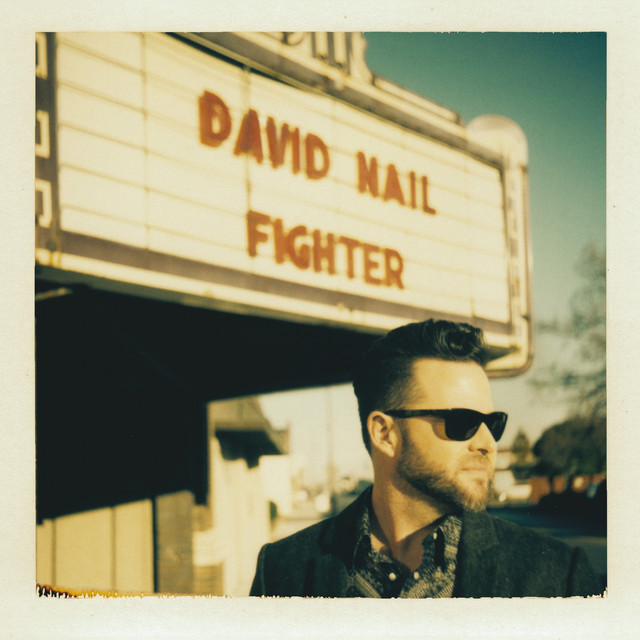 Fighter cover