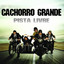 Pista Livre Albumcover