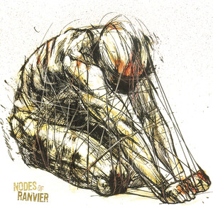 Nodes of Ranvier cover