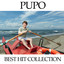 The Best of Pupo cover