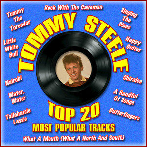 Top 20 Most Popular Tracks cover
