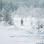 Winter & The Wolves cover