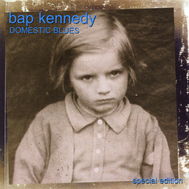 Domestic Blues cover