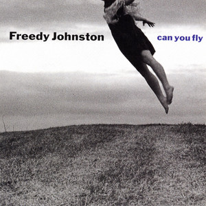 Can You Fly cover