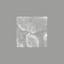 (R)evigila cover