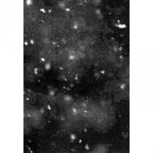 Einsamkeit cover