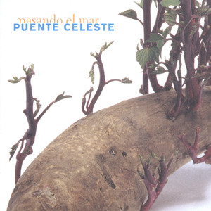 Pasando el mar cover