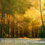 Ambient SoundScapes, Vol. 13 cover