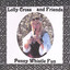 Penny Whistle Fun Albumcover