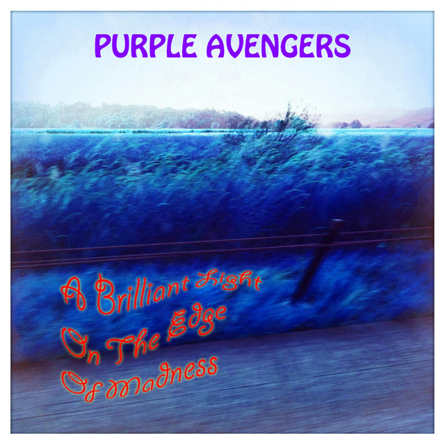 Purple Avengers Photo
