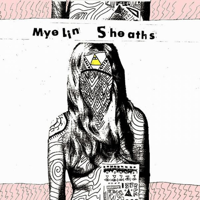 Myelin Sheaths photo