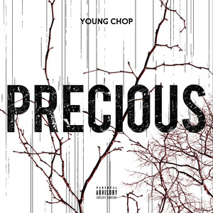 Precious album