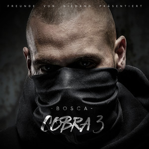 Cobra 3 cover