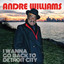 I Wanna Go Back To Detroit City cover