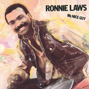 Mr. Nice Guy cover