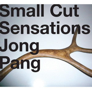 Small Cut Sensations Albumcover
